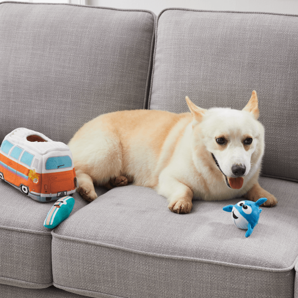 Hide A Surf Van Dog Toy