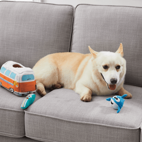 Hide A Surf Van Dog Toy