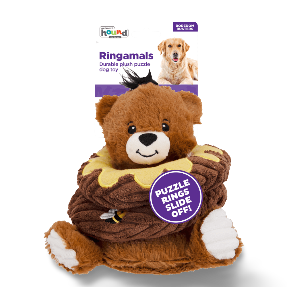 Ringamals Honey Bear Dog Toy