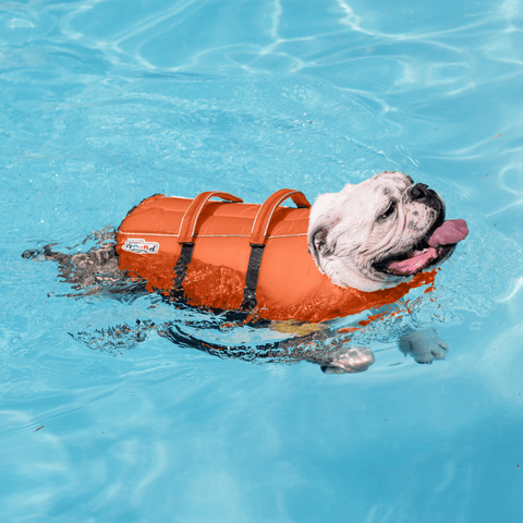 Ripstop Granby Splash Dog Life Jacket