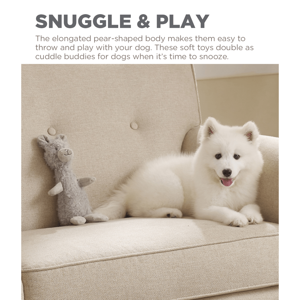 Scruffles Bunny Dog Toy