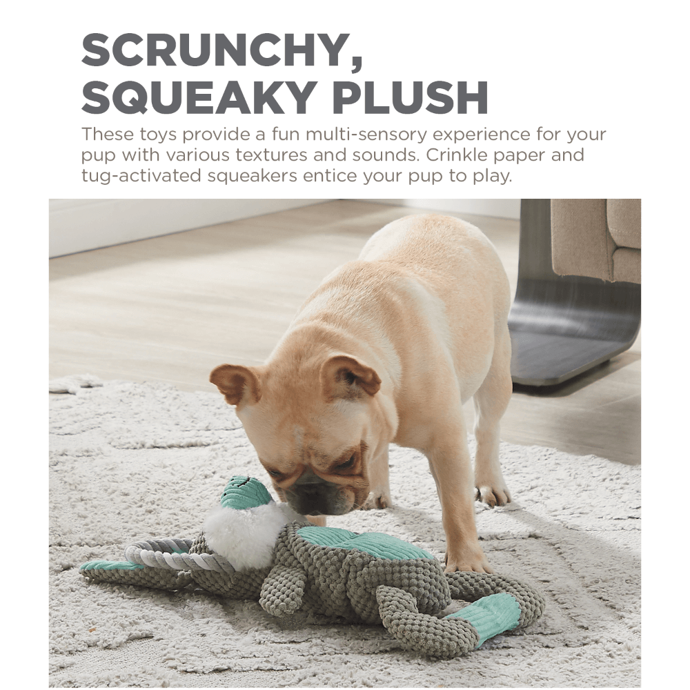 Scrunch Bunch Bunny Dog Toy