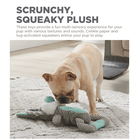 Scrunch Bunch Bunny Dog Toy