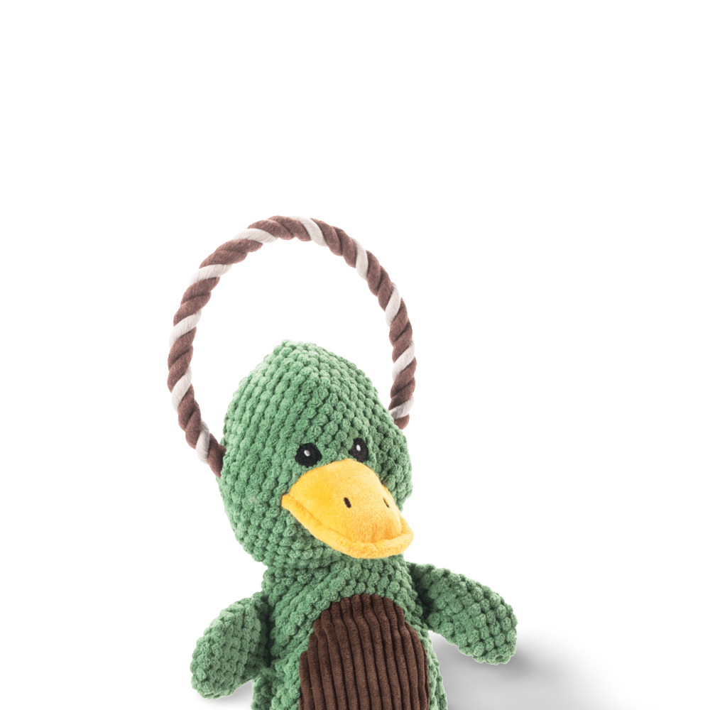 Scrunch Bunch Duck Dog Toy