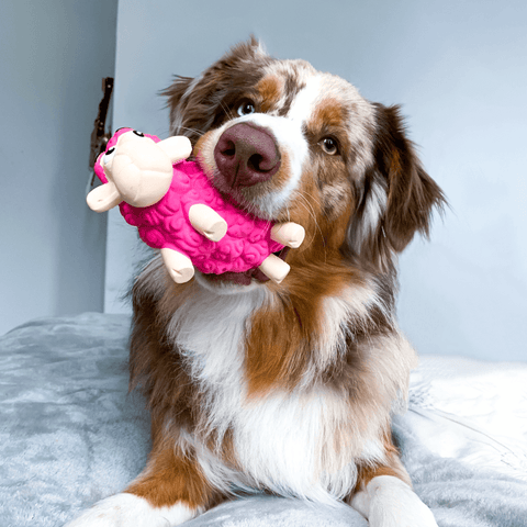 Tootiez Sheep Dog Toy