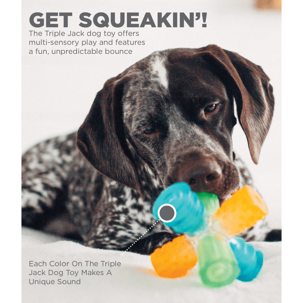 Triple Jack Interactive Multi Squeak Dog Toy