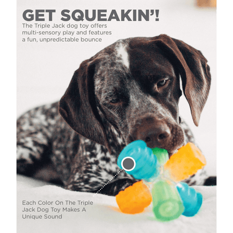 Triple Jack Interactive Multi Squeak Dog Toy