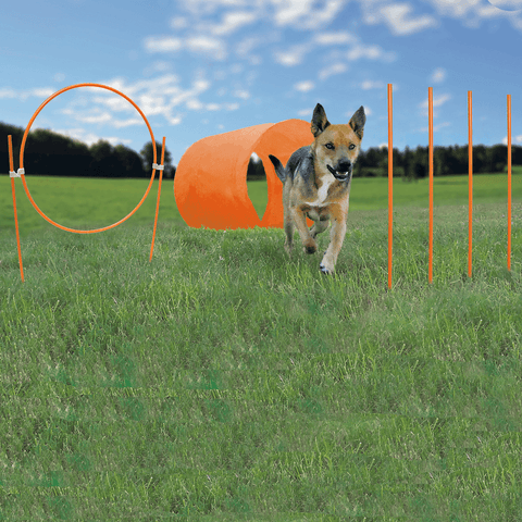 Zip Zoom Agility Kit Outdoor