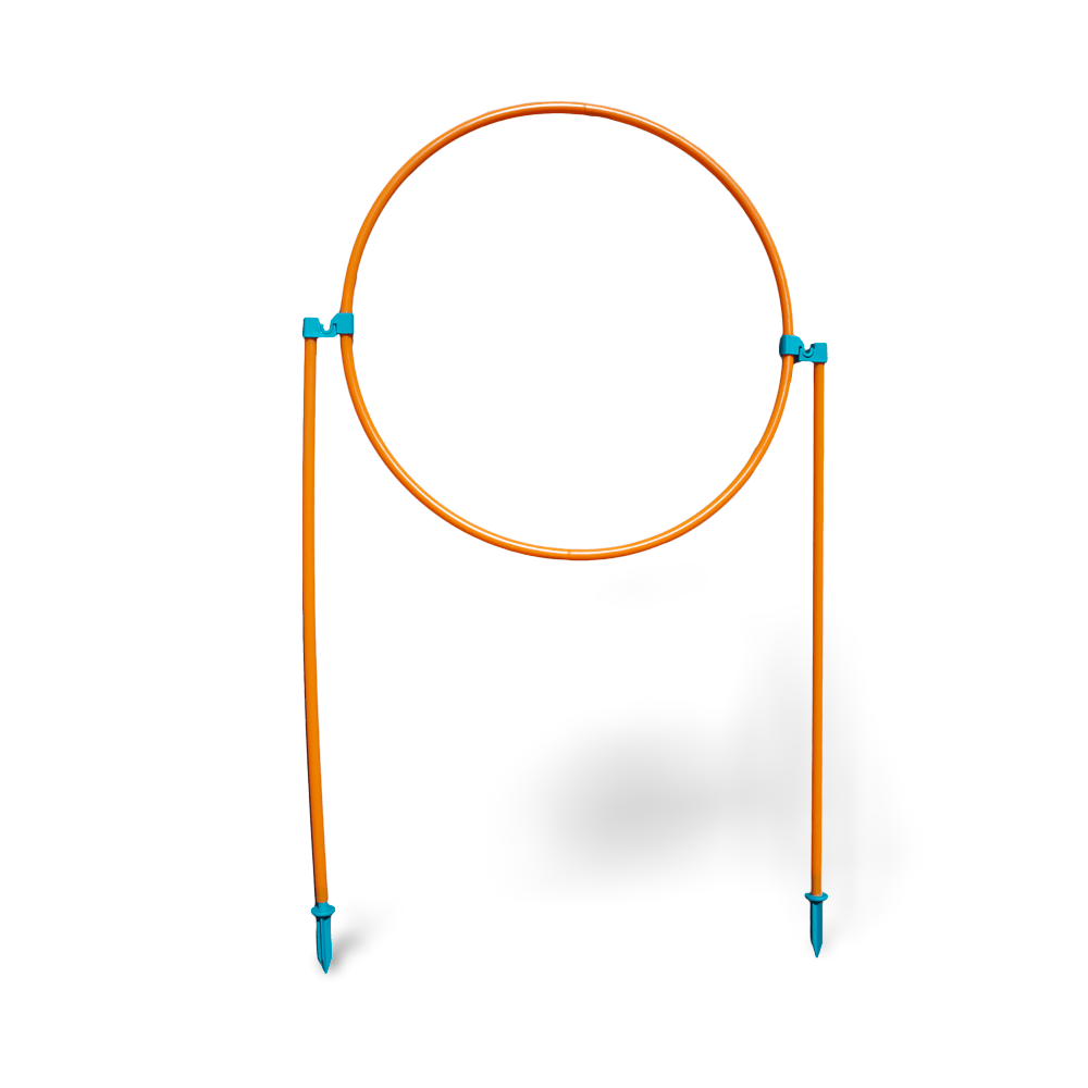 Zip Zoom Agility Kit Outdoor
