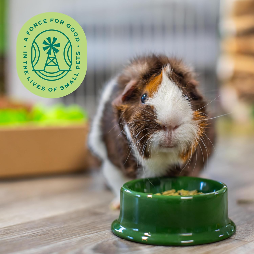 Essentials Senior Guinea Pig Food With Aging Digestive Support