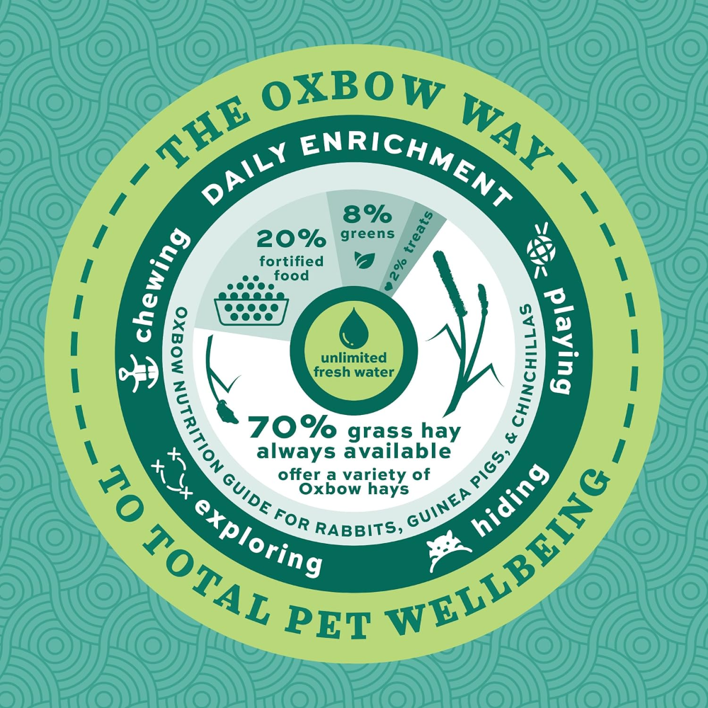 Essentials Senior Guinea Pig Food With Aging Digestive Support