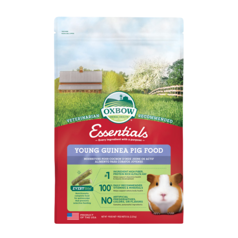 Essentials Young Guinea Pig Food With Alfalfa Hay – petsome
