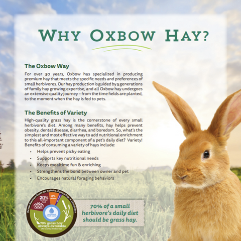 Orchard Premium Grass Hay For Rabbits And Guinea Pigs