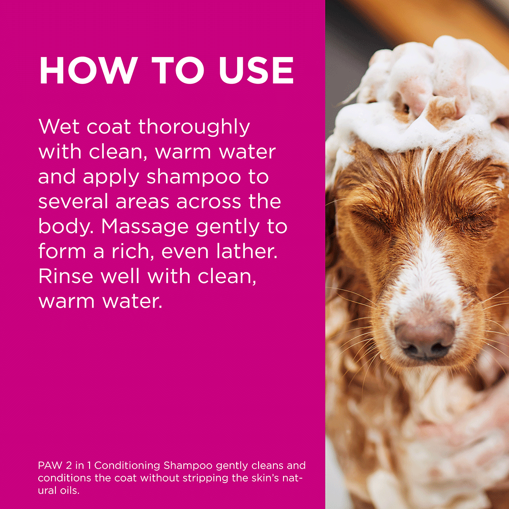 Paw 2 In 1 Conditioning Shampoo for Dogs