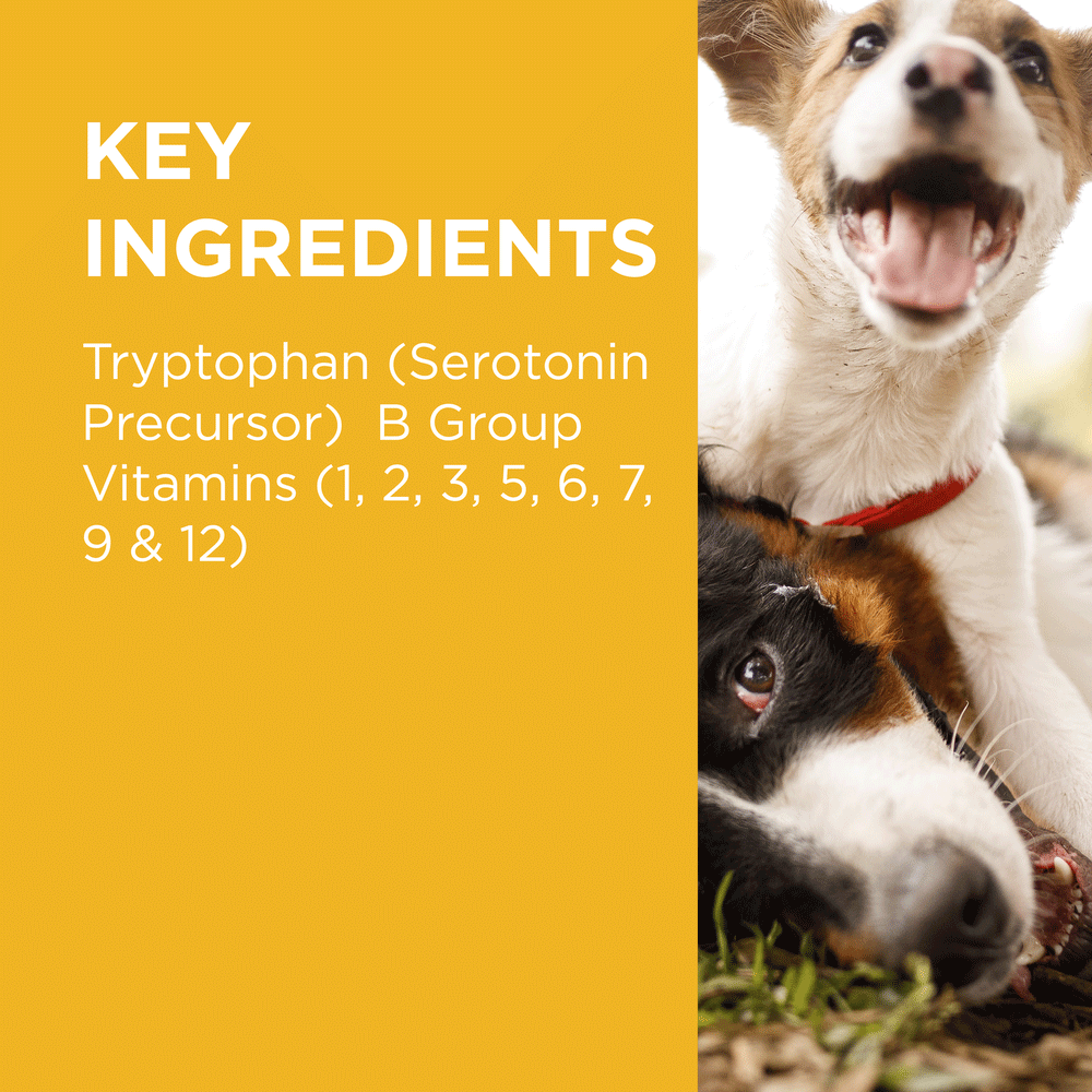 Complete Calm Chews for Dogs