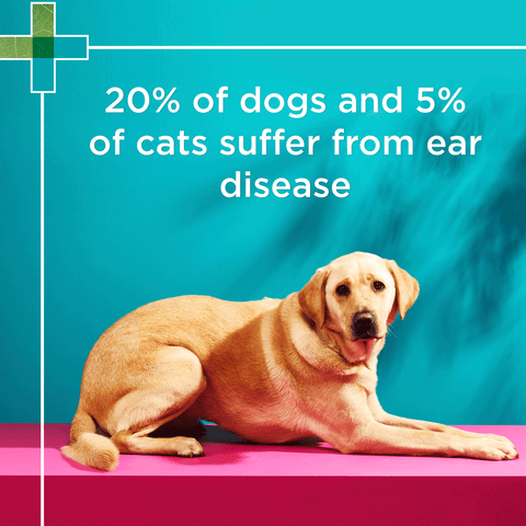 Gentle Ear Cleaner for Pets