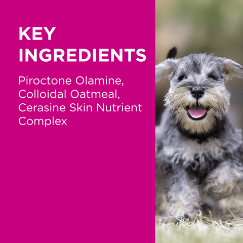 Infected Skin Shampoo And Conditioner Duo for Dogs
