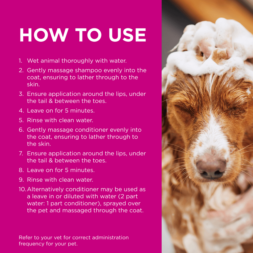 Infected Skin Shampoo And Conditioner Duo for Dogs