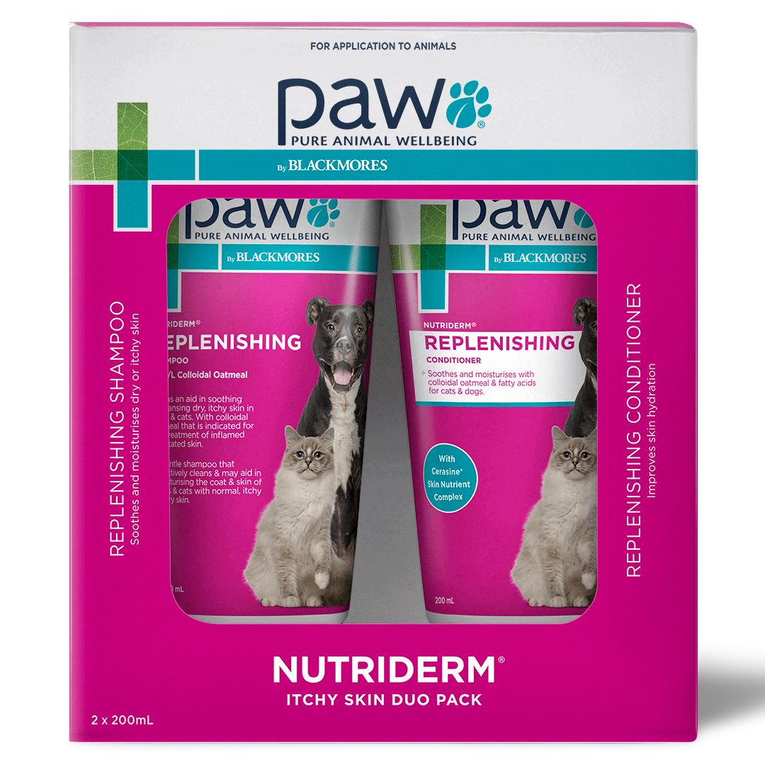 Itchy Skin Shampoo And Conditioner Duo