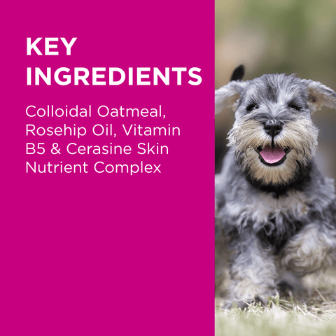 Itchy Skin Shampoo And Conditioner Duo