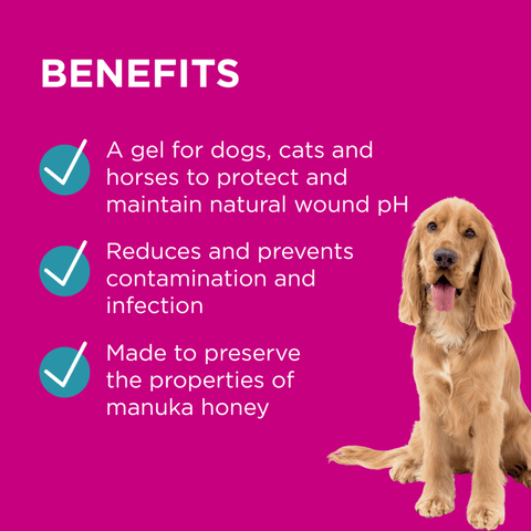 Manuka Wound Gel for Pets