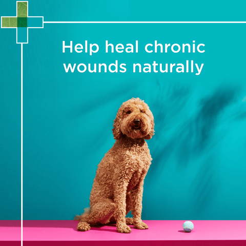 Manuka Wound Gel for Pets