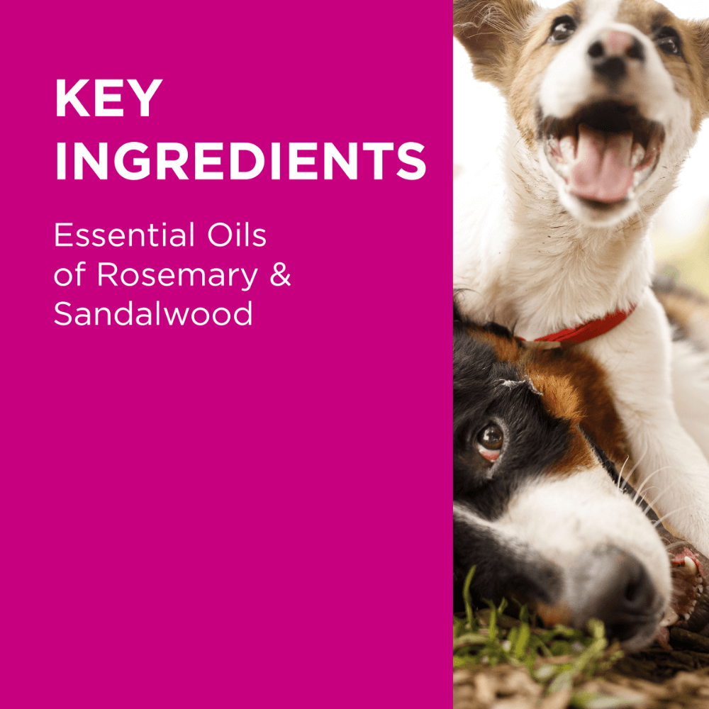 Sensitive Skin Conditioner for Dogs