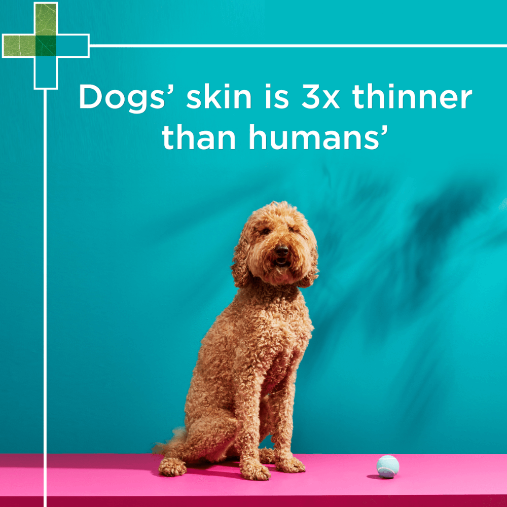 Sensitive Skin Conditioner for Dogs