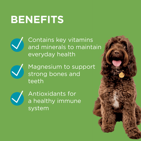 Wellness And Vitality Chews for Dogs