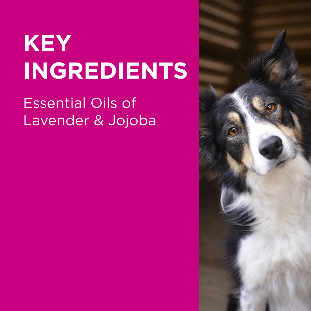 Conditioning And Grooming Spray