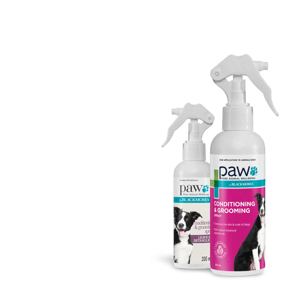 Conditioning And Grooming Spray