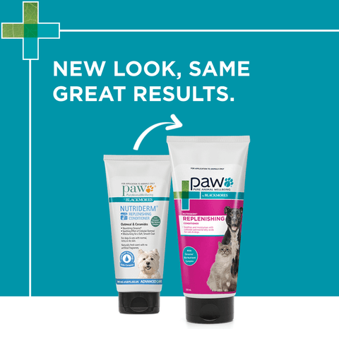 Nutriderm Replenishing Conditioner