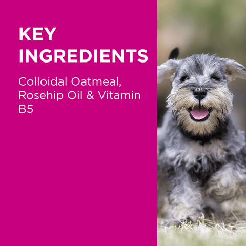 Nutriderm Replenishing Shampoo