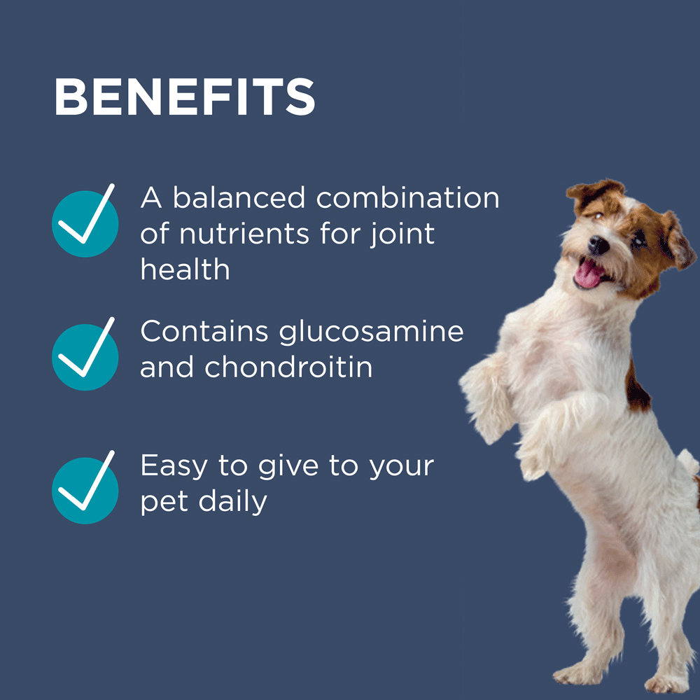 Osteocare Chews For Small Dogs