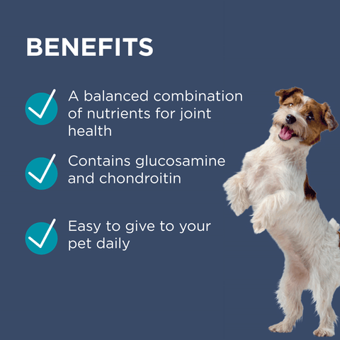 Osteocare Chews For Small Dogs