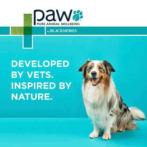 Osteocare Chews For Small Dogs