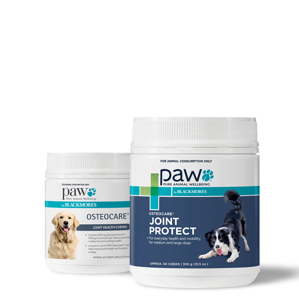 Osteocare Joint Protect Chews for Dogs