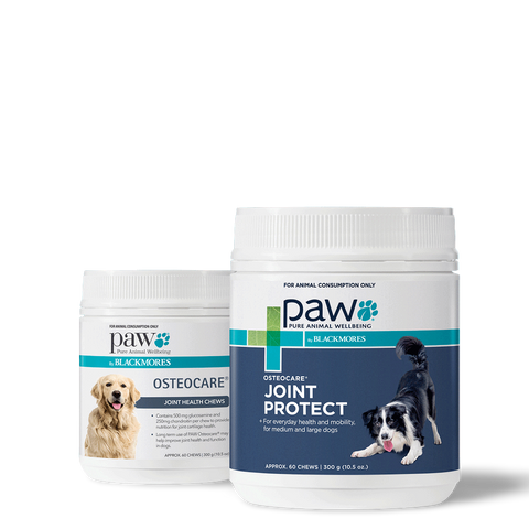 Osteocare Joint Protect Chews for Dogs