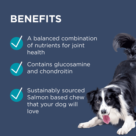 Osteocare Joint Protect Chews for Dogs