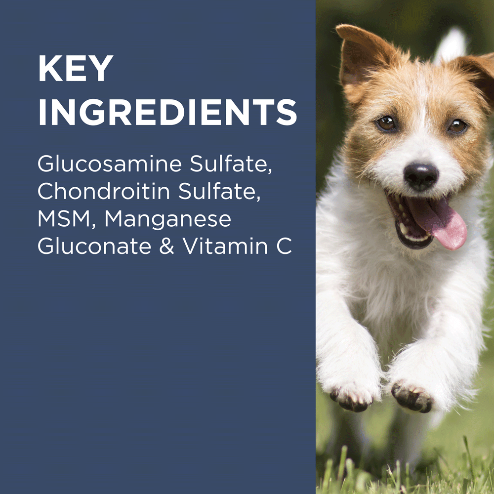 Osteocare Joint Protect Chews for Dogs
