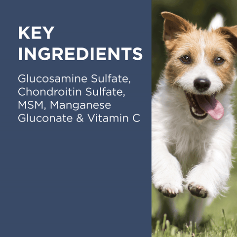 Osteocare Joint Protect Chews for Dogs