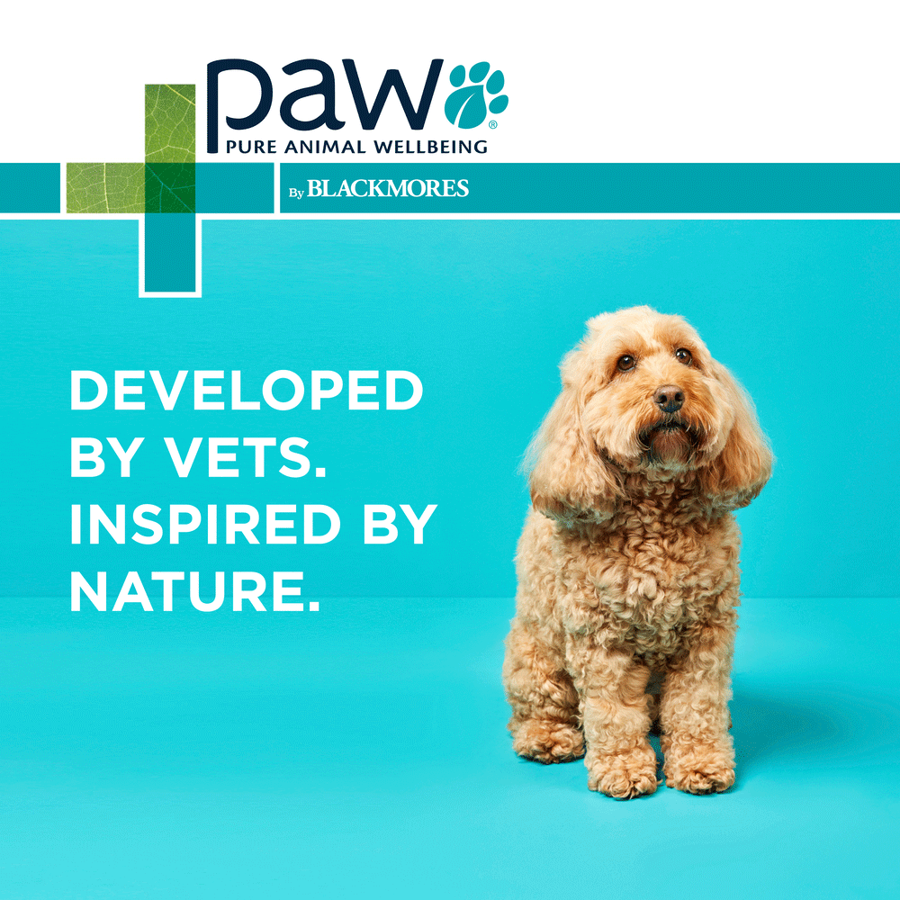 Osteocare Joint Protect Chews for Dogs