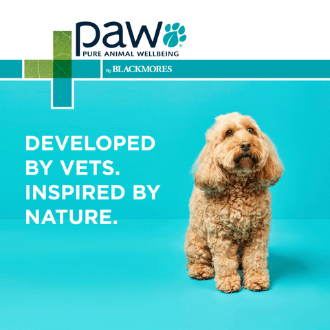 Osteocare Joint Protect Chews for Dogs