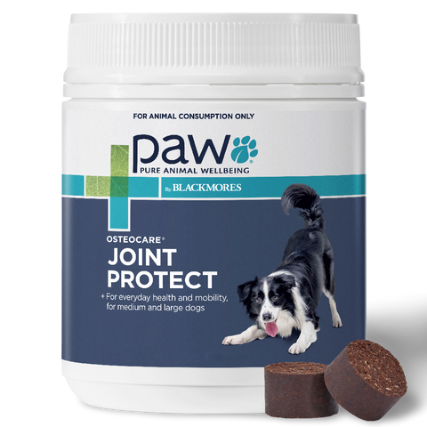 Osteocare Joint Protect Chews for Dogs