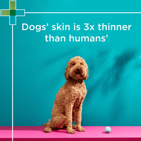 Gentle Puppy Shampoo