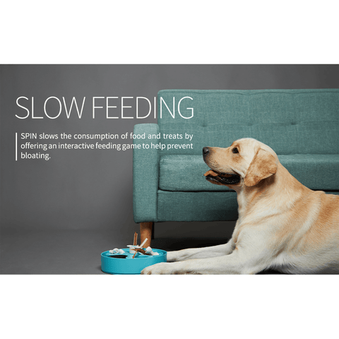 Spin Interactive Feeder Flower