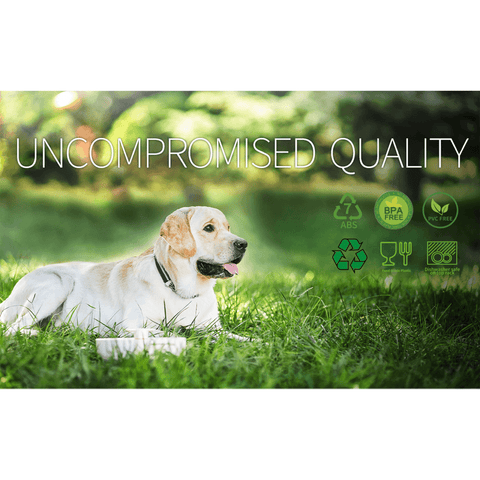 Spin Interactive Feeder Flower