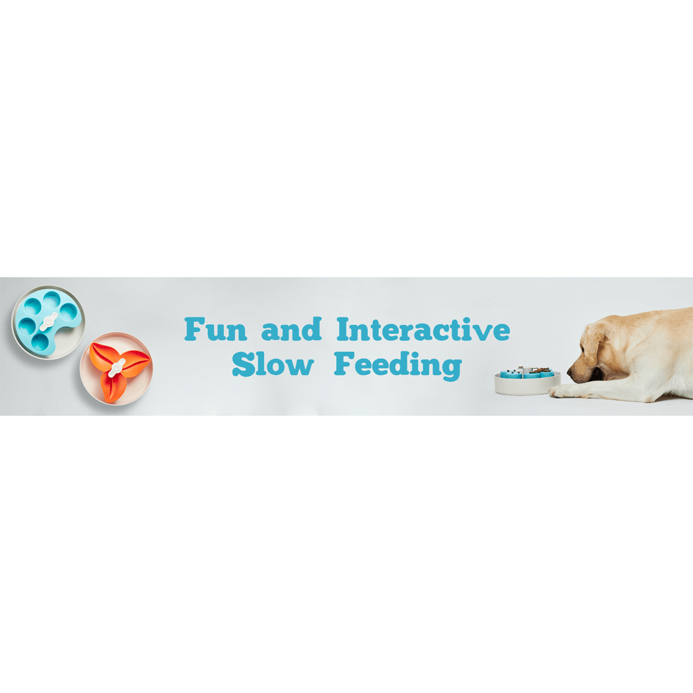 Spin Interactive Feeder Flower