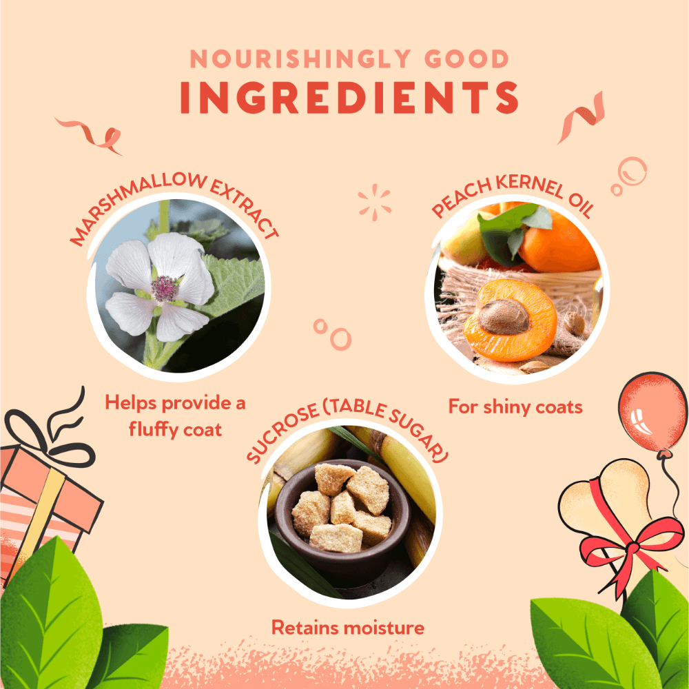 Birthday Sparkle Edition Cotton Candy Shampoo