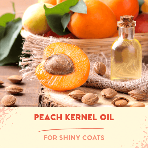 Birthday Sparkle Edition Cotton Candy Shampoo